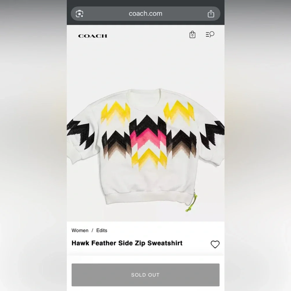 Coach x Coachella Hawk Feather Side Zip Sweatshirt w/ Chevron Pattern Multicolor - Picture 4 of 10